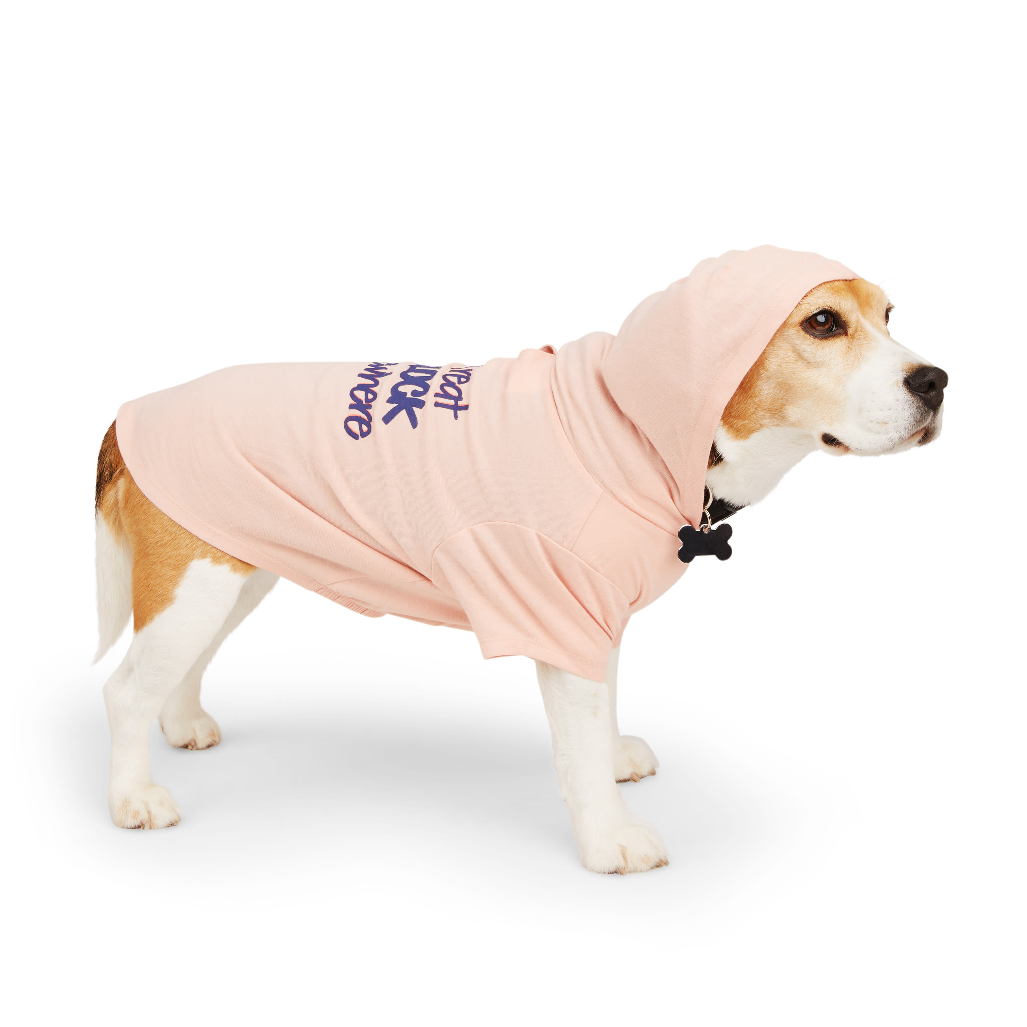 YOULY Treat OClock Dog Hoodie， XX-Small