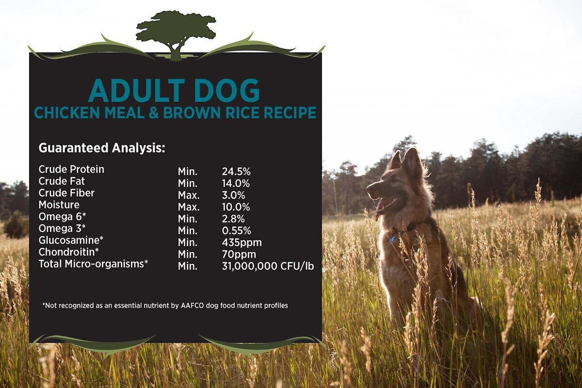 Blackwood Chicken Meal and Rice Recipe Everyday Diet Adult Dry Dog Food