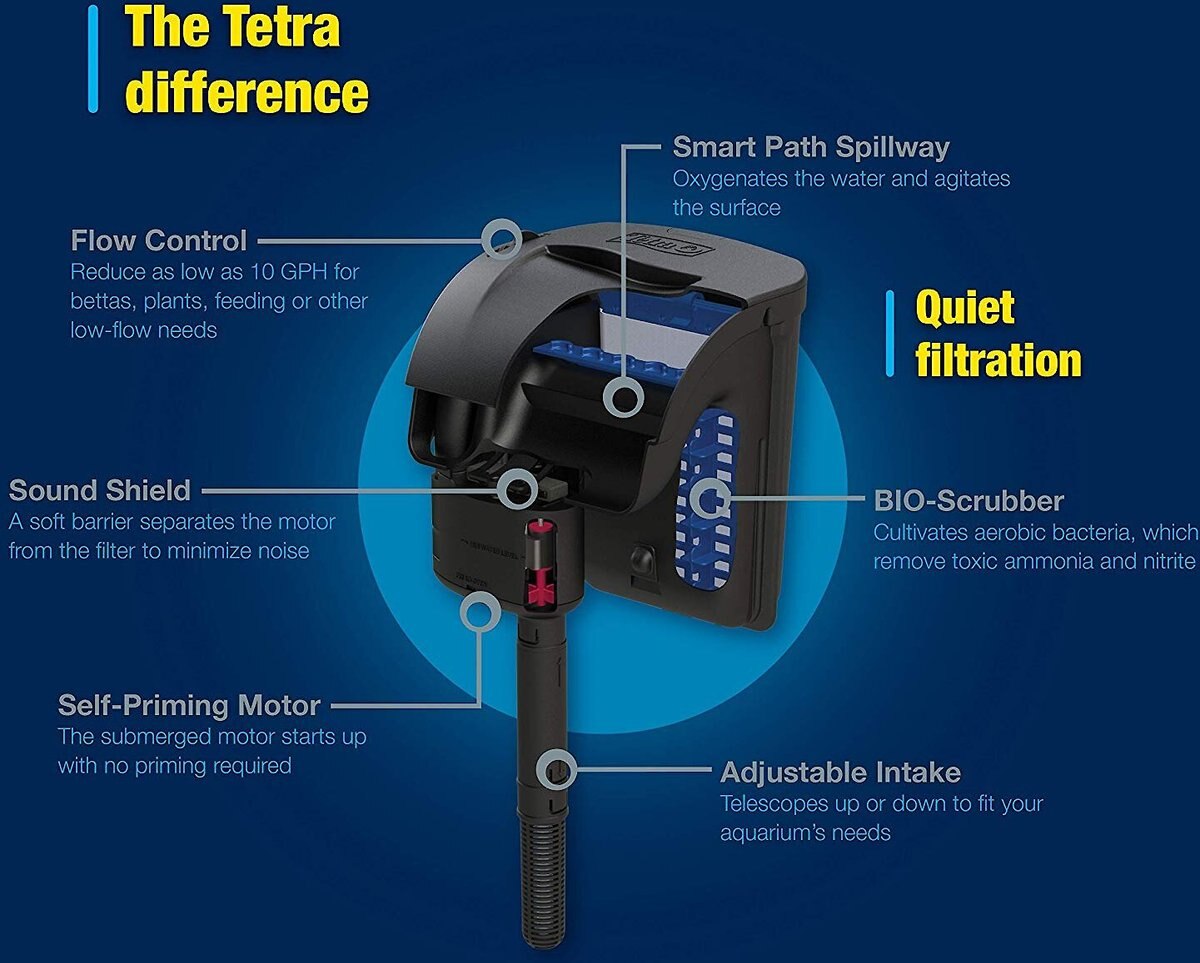 Tetra Connect Curved Aquarium Kit with WiFi Feeder， 28-gal