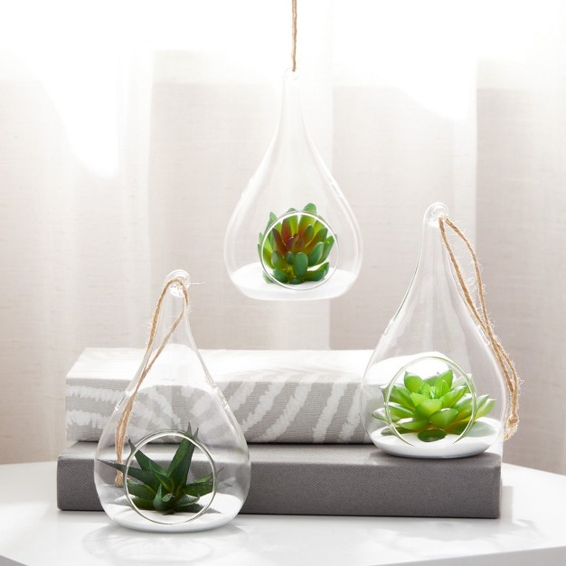 Juvale 5 pack Hanging Glass Terrarium Containers Air Plant Holder Succulent Planter Tea Light Candle Hangers 3 5x5 In