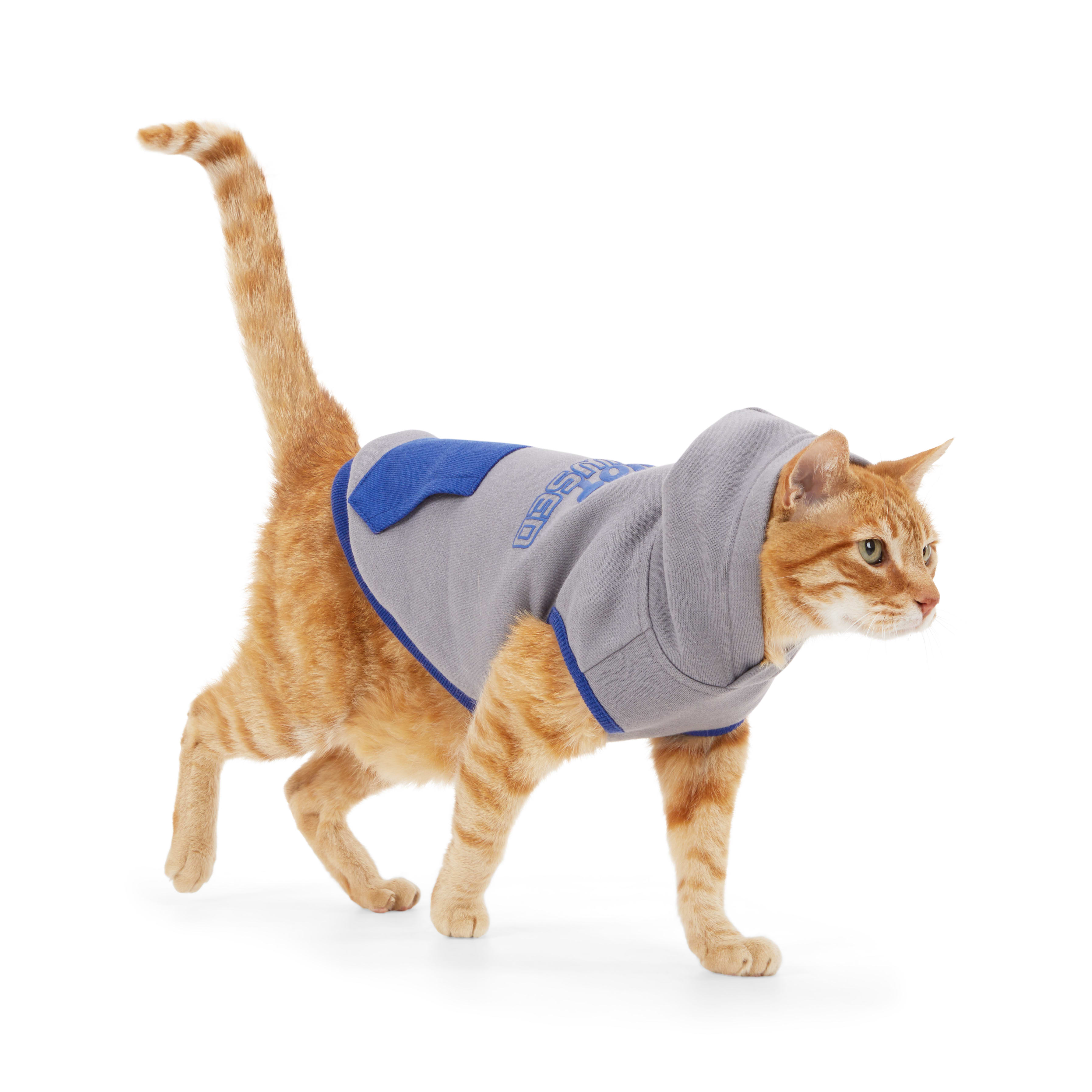 YOULY Grey Cat Hoodie， X-Small/Small