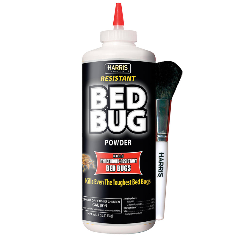 BED BUG BLACK POWDER 4OZ