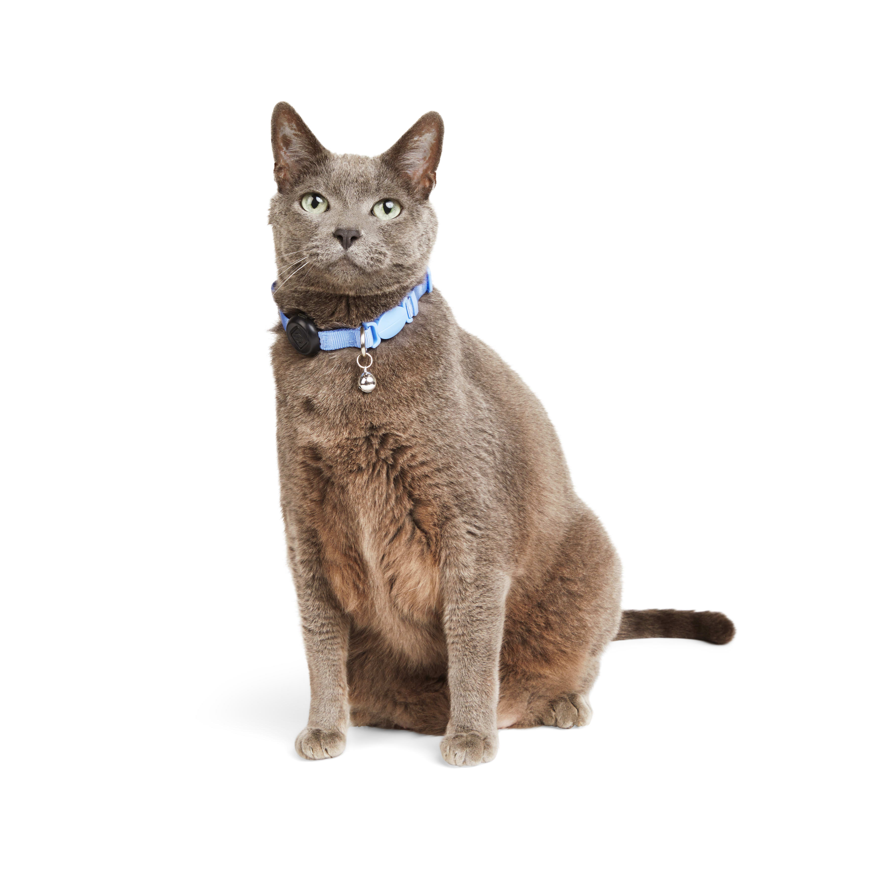 YOULY Blue LED Cat Collar