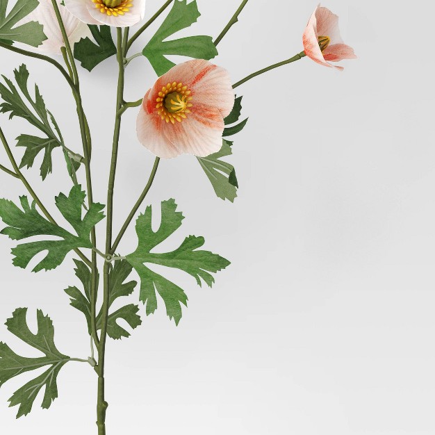 Peach Poppy Stem