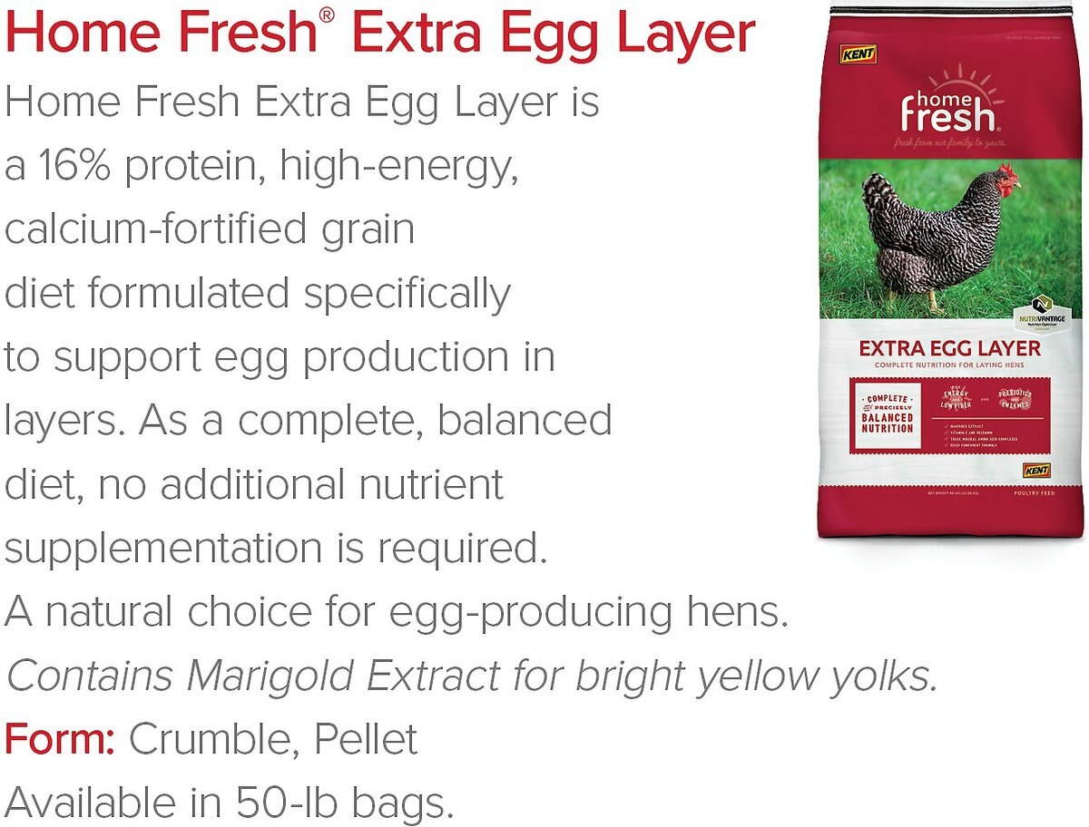 Kent Home Fresh Extra Egg Layer Crumbles Chicken Food， 50-lb bag