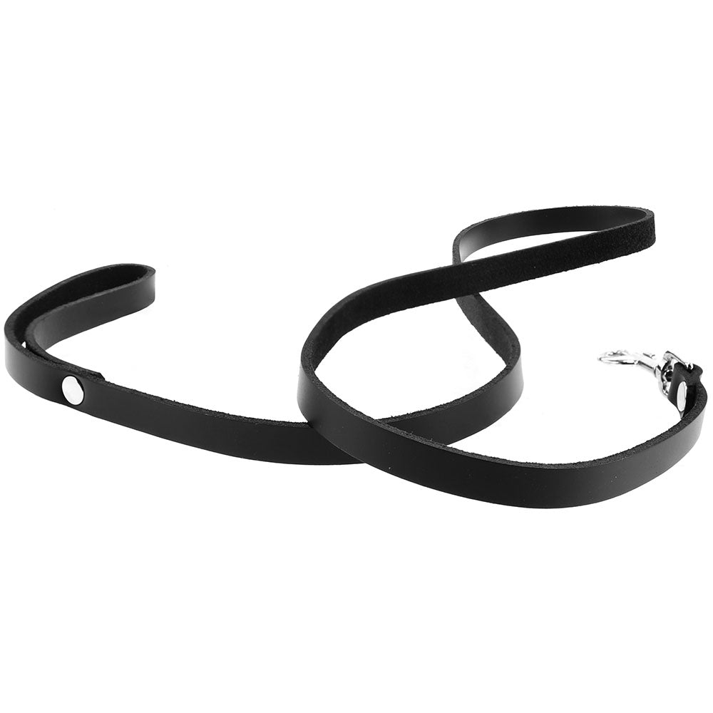 4' Leather Leash