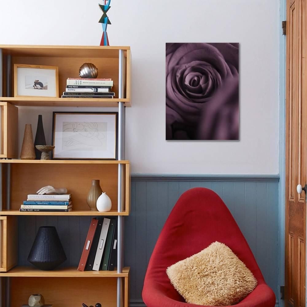 Deep Purple Rose， Botanical Stretched Canvas Wall Art by Clive Nichols Sold by ArtCom