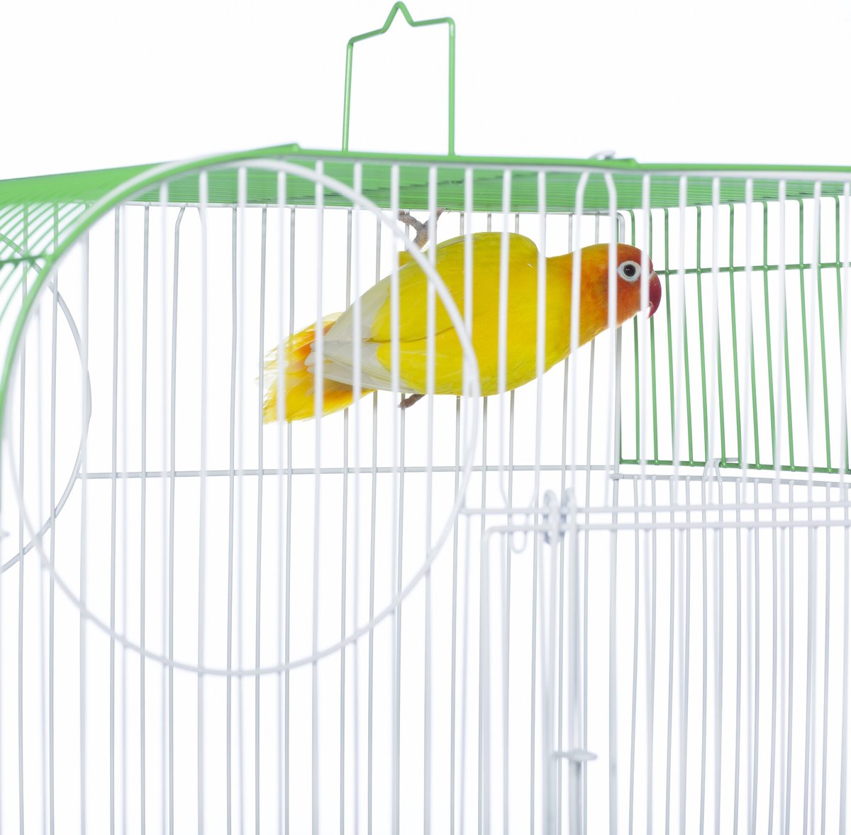 Prevue Pet Products Southbeach Flat Top Bird Cage