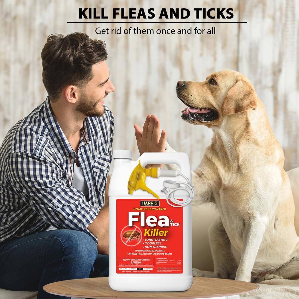 Harris 1 Gal. Flea and Tick Killer (3-Pack) 3HFT-128