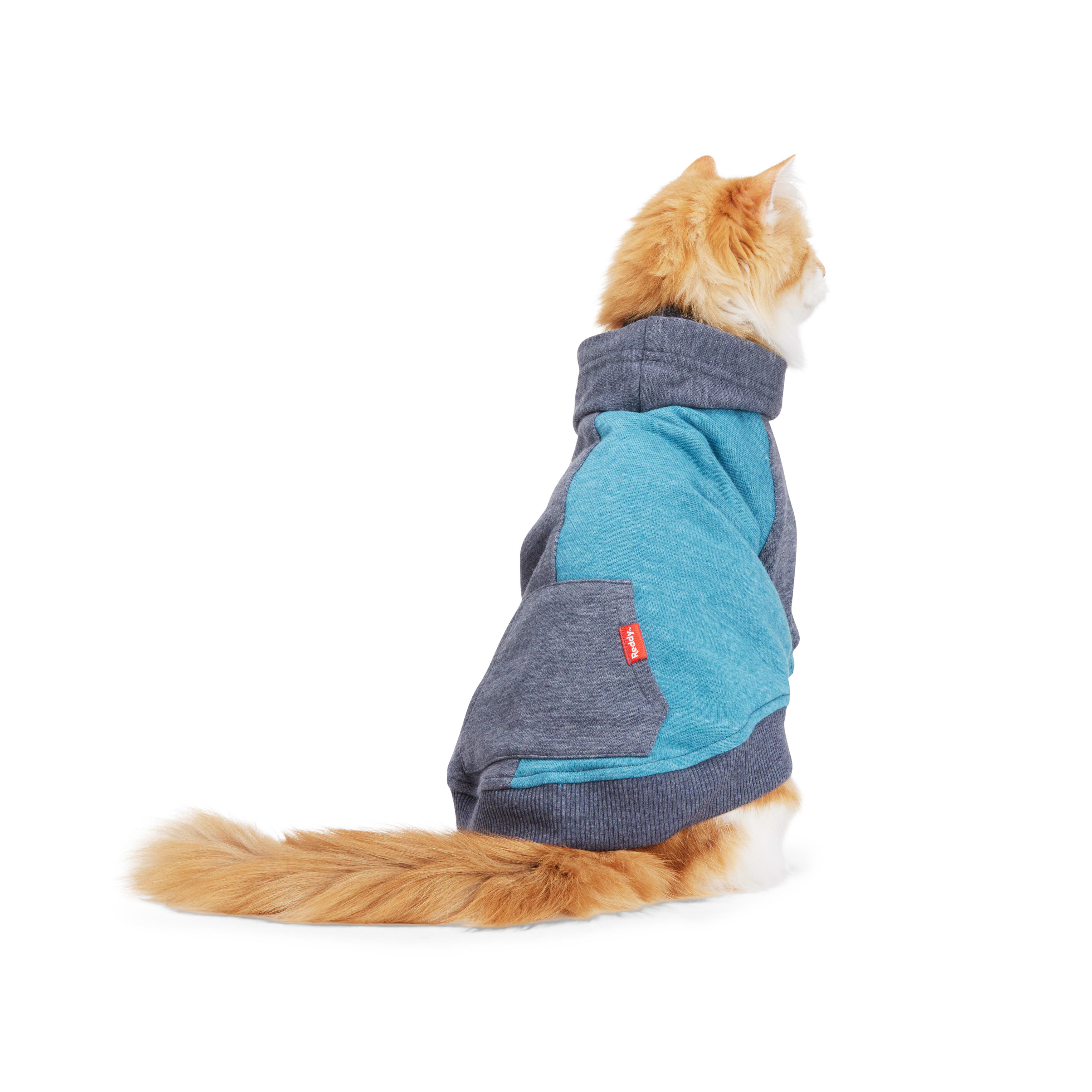 Reddy Teal Cat Hoodie， Small/Medium