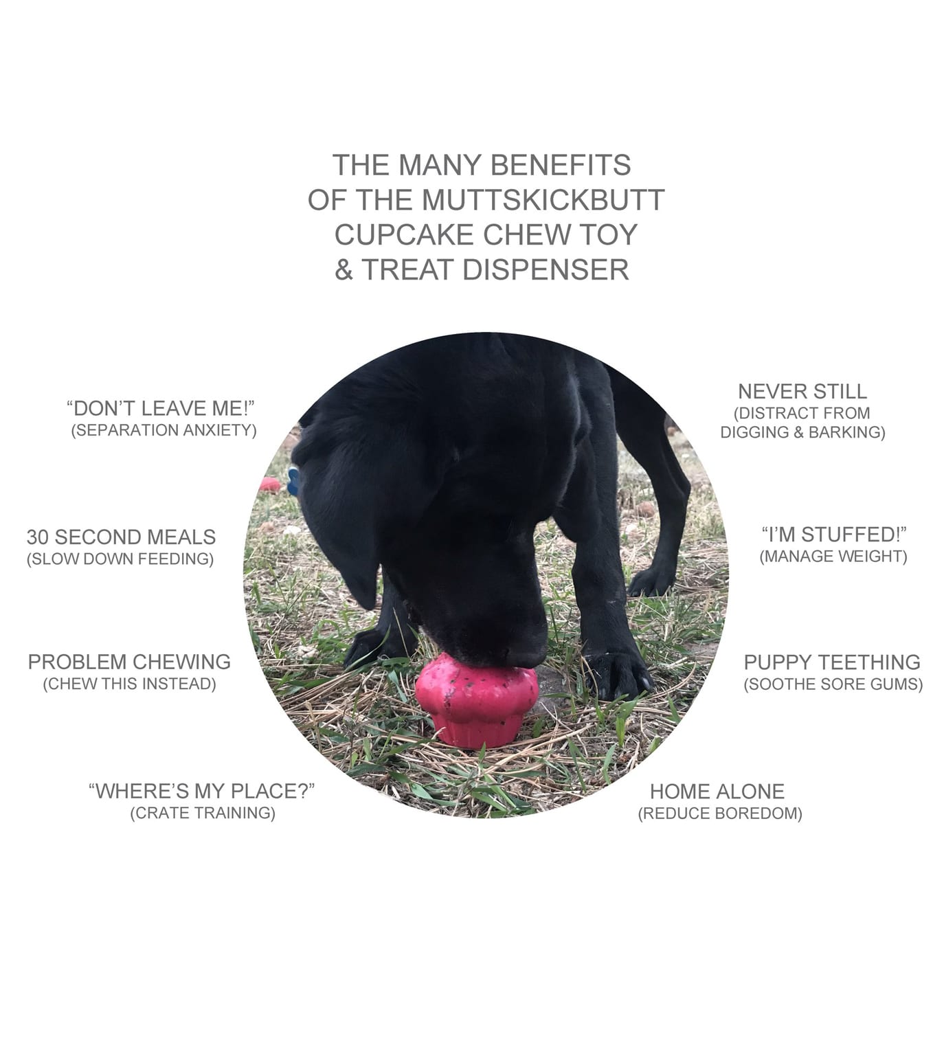 MUTTS KICK BUTT Cupcake Treat Dispenser and Chew Toy for Dogs