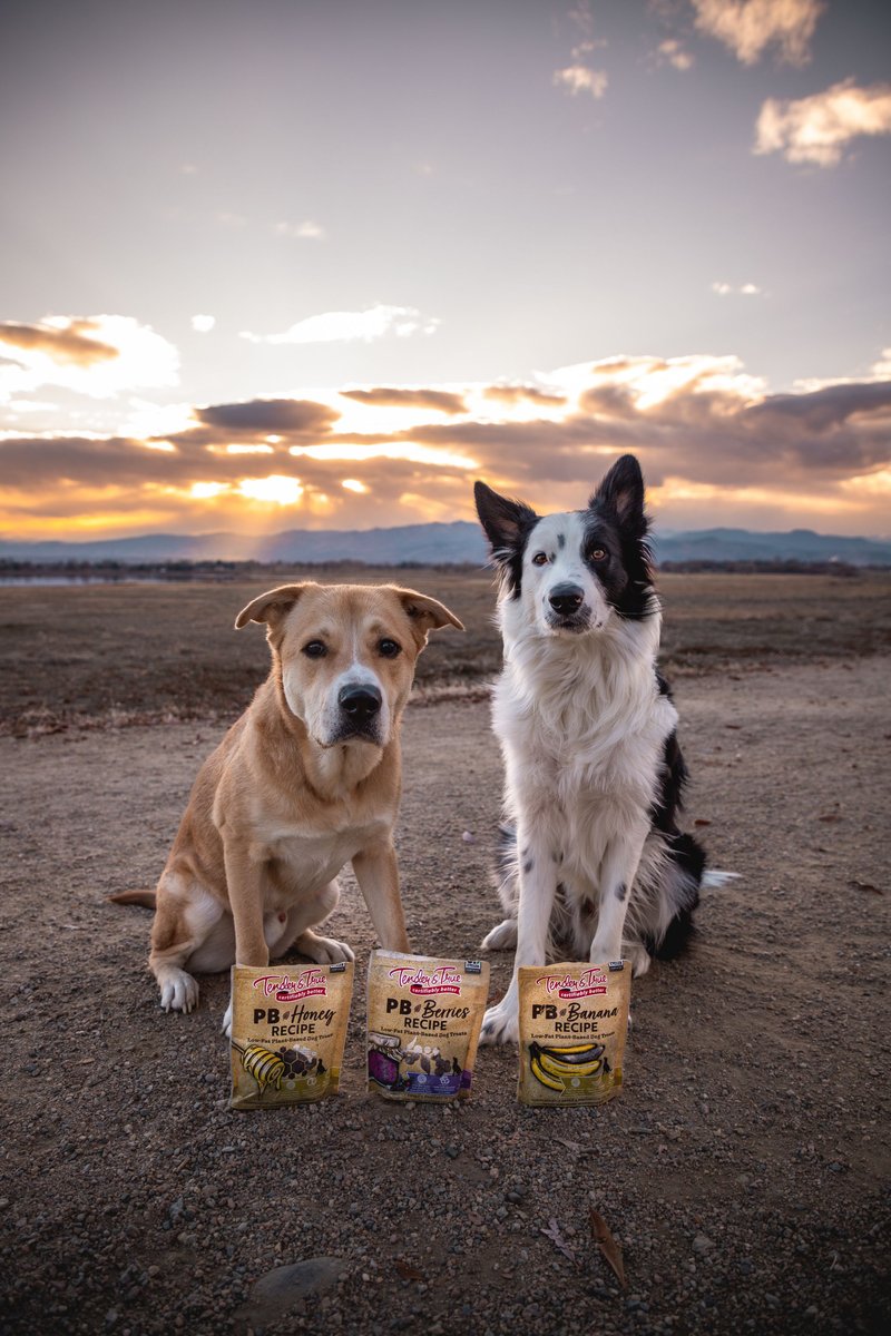 Tender and True PB+ Berries Jerky Dog Treats， 4-oz bag