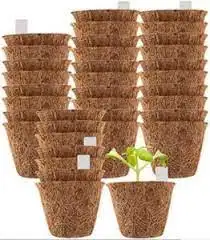 Quality Compressed CocoCoir Pots The Natural Alternative for HealthyPlant Growth Growing Green Coconut Husk Pots for Your Garden