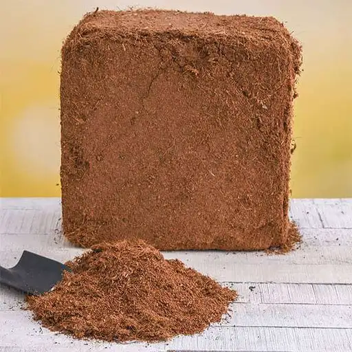 Garden Supplies Light Brown Organic Cocopeat for Growing plant With Size 30 x 30 x 15cm Made in Vietnam