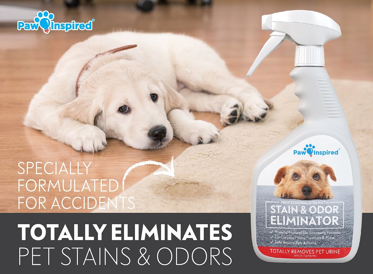 Paw Inspired Professional Dog Stain and Odor Eliminator Spray， 32-oz bottle