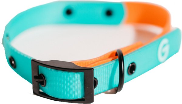 Good Trouble Everyday Coated Nylon Dog Collars