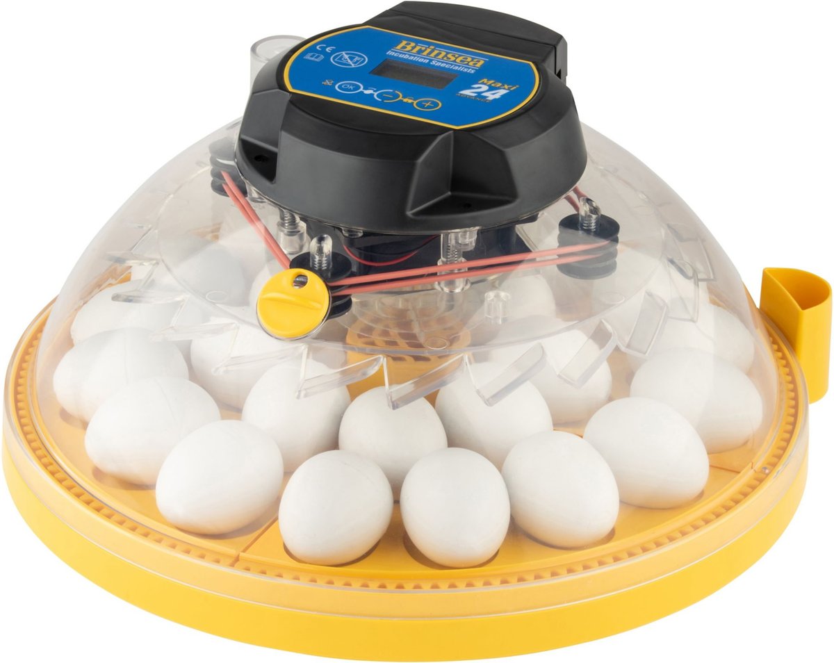 Brinsea Maxi II Advance 24 Bird Egg Incubator Classroom Pack