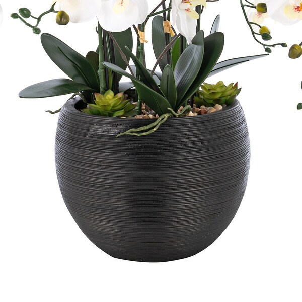 9 Stems Nearly Natural White Phalaenopsis Orchids with Succulents in White Magnesium Oxide Pot