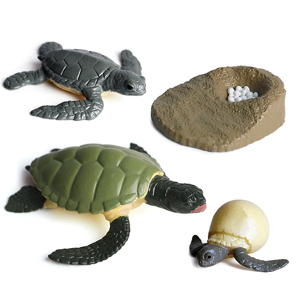 Life Cycle Stages Simulation Animal Model Kids Mini Animal Frog Growth Cycle Pvc Classroom Teaching Accessories Educational Toy For Kids