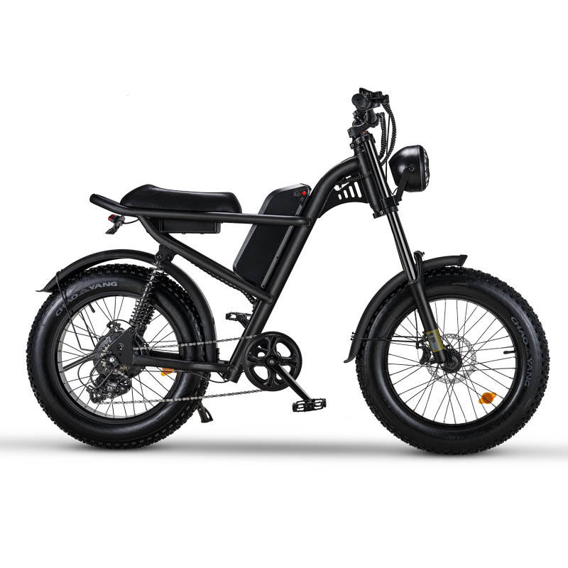 DROPSHIP ADULT BEACH Z8 ELECTRIC BIKE BICYCLE with Thumb throttle