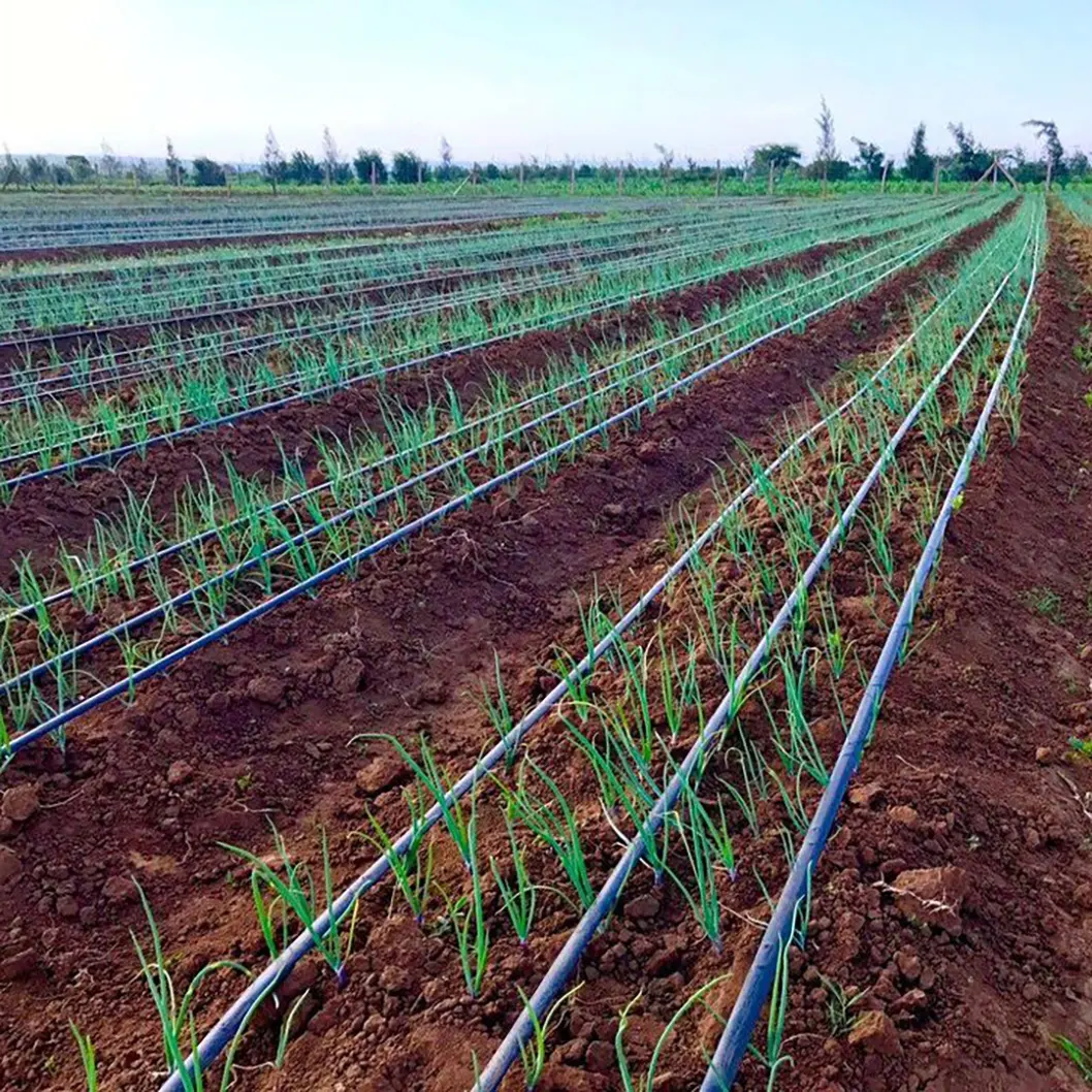 manufacture micro irrigation system Drip pipes with pressure compensating for farm / garden supplies