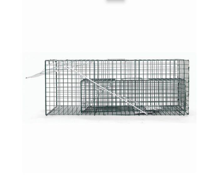 Catch  Release Traps for Raccoons and Rabbits， 2 Pack - 87-678-0204