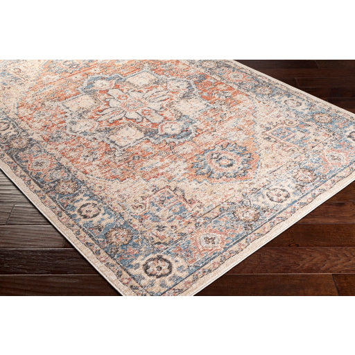 Daytona Beach Traditional Indoor/Outdoor Multi-color Rug