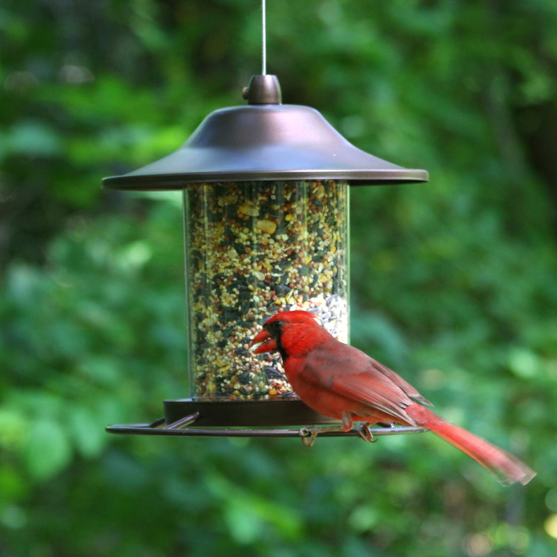 COPPER PANORAMA FEEDER