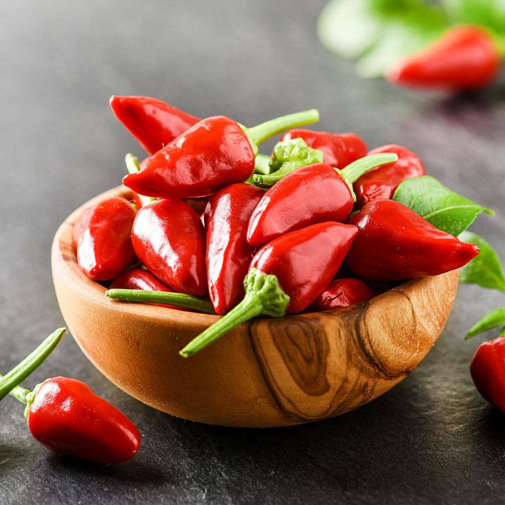 BONNIE PLANTS HARVEST SELECT 25 oz. Hot Burrito Pepper Plant 715339422439