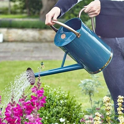 Wholesale Customized High Quality Stainless Steel Watering Can With Long Spout Water Cans For Outdoor Garden