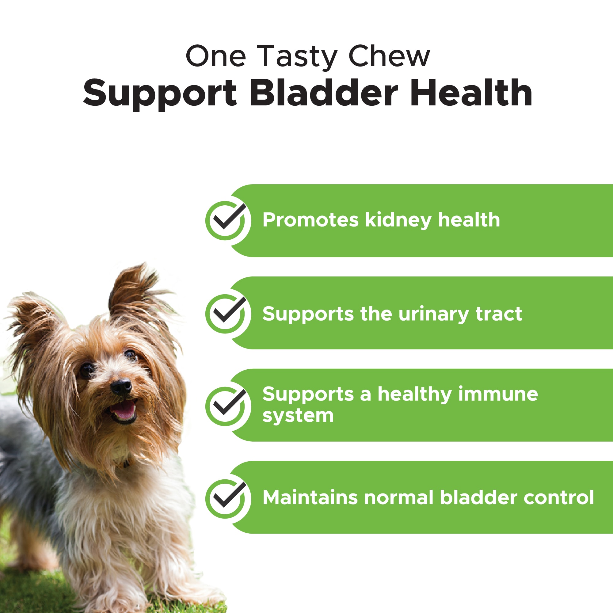 Pet Honesty Bladder Health Cranberry Soft Chews for Dogs， Count of 90