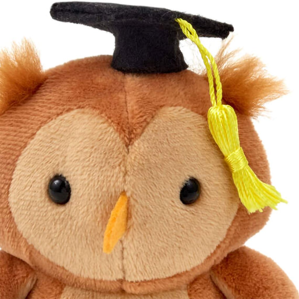 Hallmark  Wise Owl Plush Graduation Gift Card Holder, 4.75