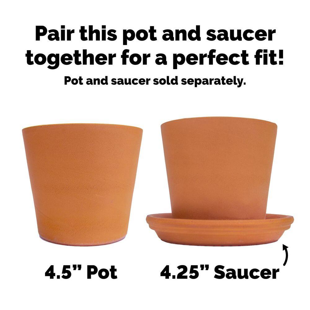 Pennington 4.5 in. Small Cabo Flair Terra Cotta Clay Pot 100523385