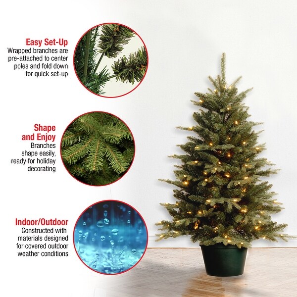 National Tree Company 3 ft. Everyday Collection Evergreen Tree with Clear Lights