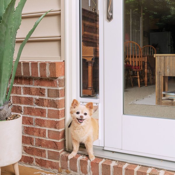 PetSafe Sliding Glass Pet Door， 2-Piece