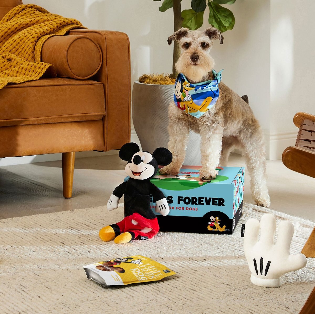 Goody Box Disney Mickey Mouse and Pluto Dog Box