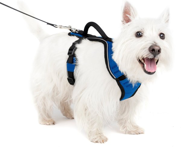 PetSafe EasySport Nylon Reflective Back Clip Dog Harness