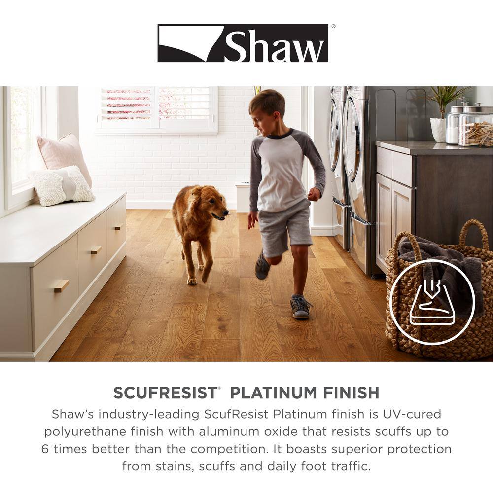 Shaw Bristol Envoy 20 MIL x 5 in. W x 48 in. L Click Lock Waterproof Luxury Vinyl Plank Flooring (15 sqftcase) HD95000690