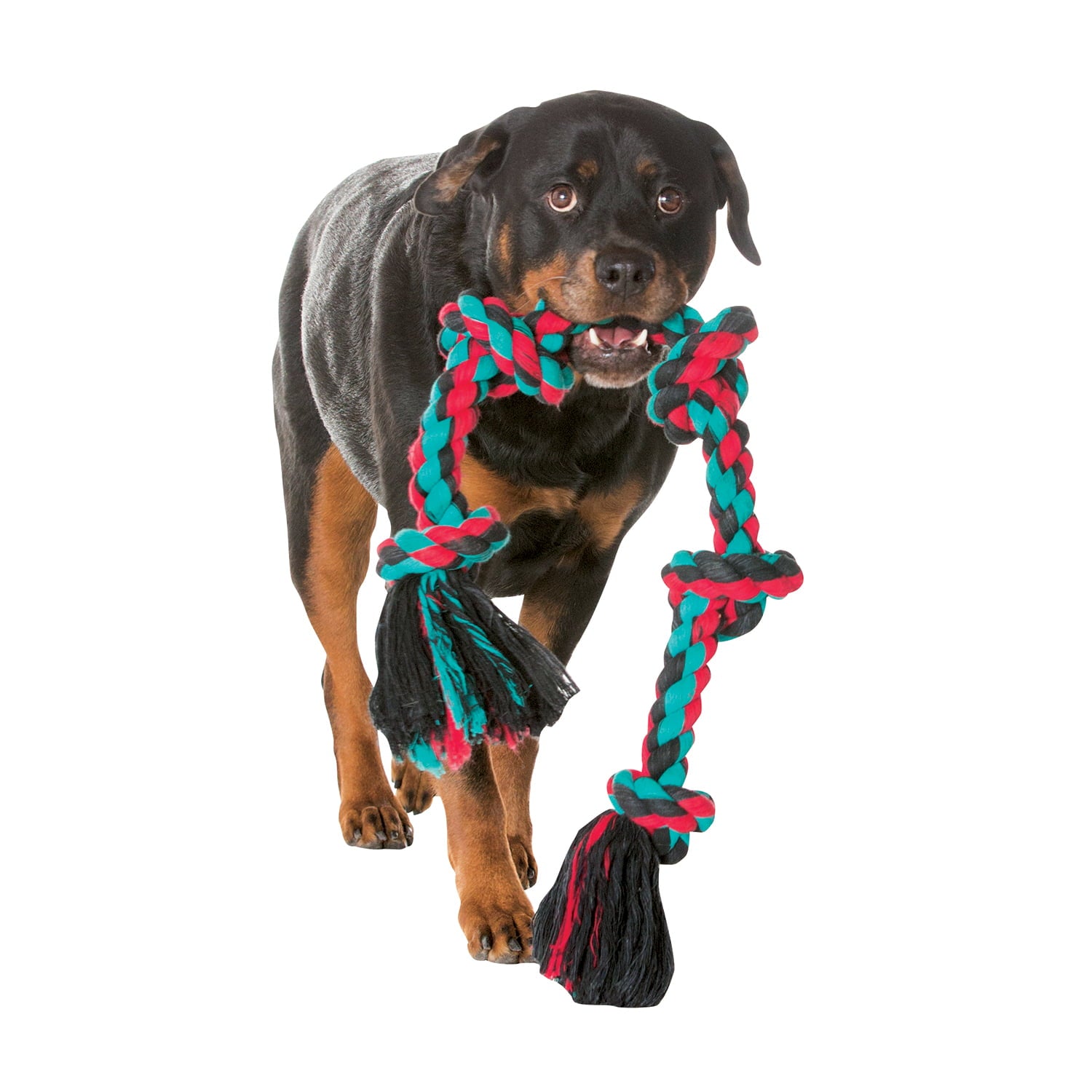 Mammoth Flossy Chews Extra Large Poly Cotton 5 Knot Rope Tug Dog Toy， Assorted Colors