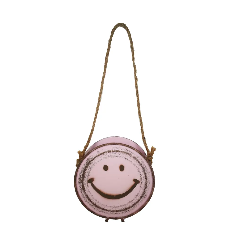 Smile Pink Wall Hanging Metal Flower Pot Decoration Meaty Plant Home Decoration  Round Bucket