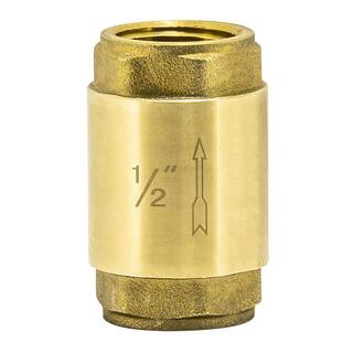 EZ-FLO 12 in. IPS Brass In-Line Check Valve 20401LF