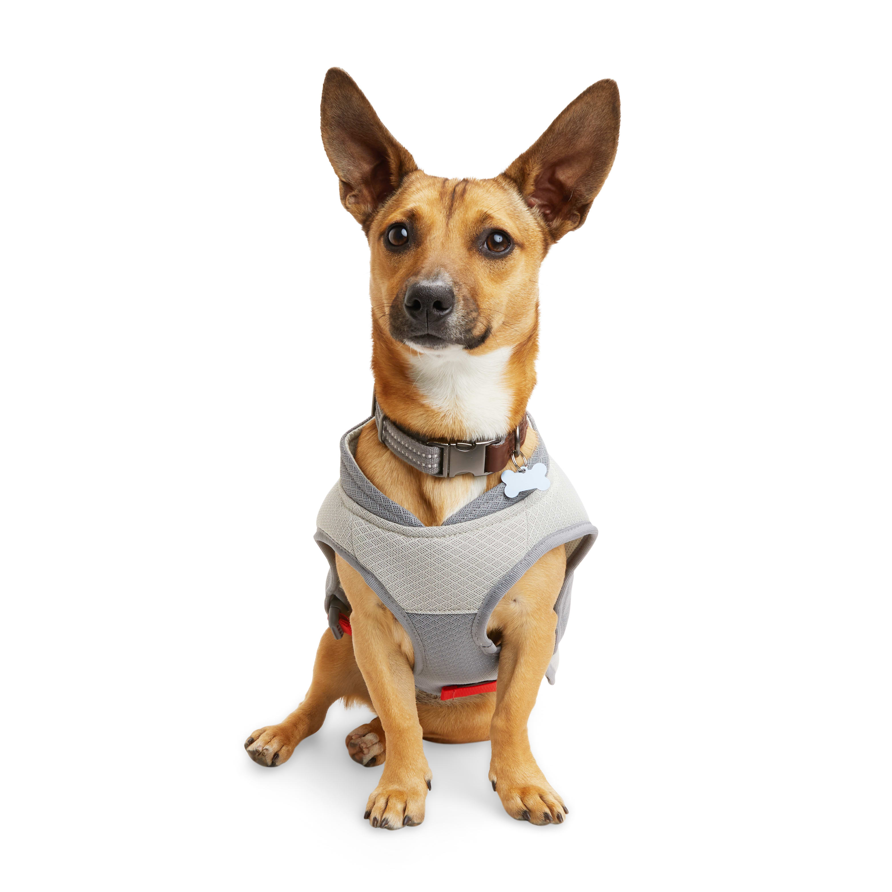 REDDY Grey/Red Cooling Dog Vest， Large