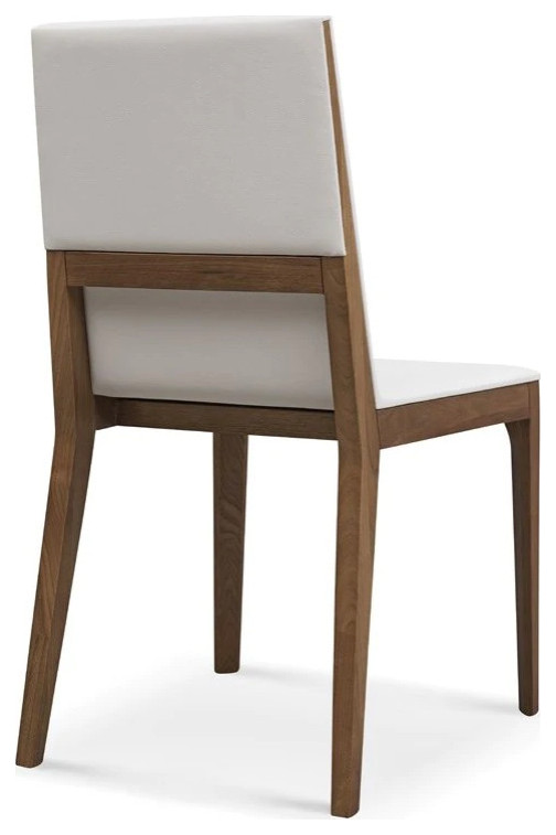 Annemarte Dining Chair  White Soft Polyurethane Cover With Light Walnut Frame   Transitional   Dining Chairs   by V.S.D Furniture  Houzz