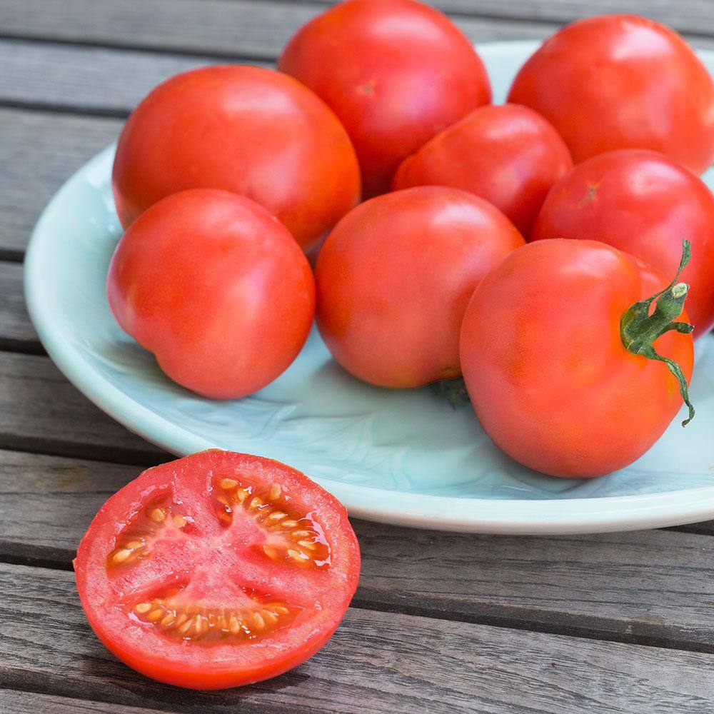 Bonnie Plants 19 oz. Seattles Best Heirloom Tomato Plant 0264