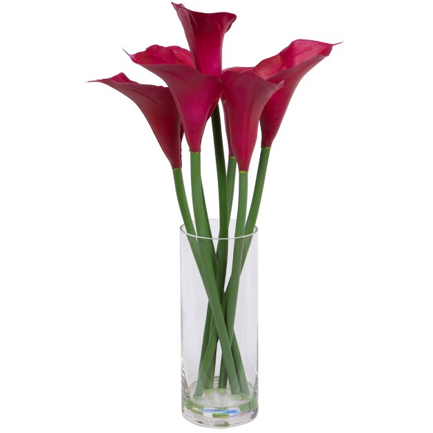 Purple Calla Lillies In Glass Vase.