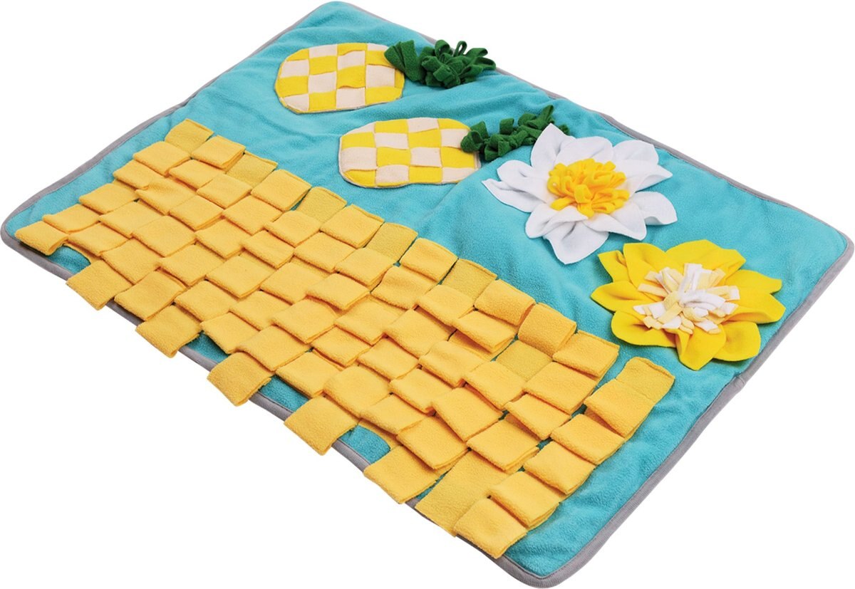 Archstone Pets Pineapple Dog Snuffle Mat