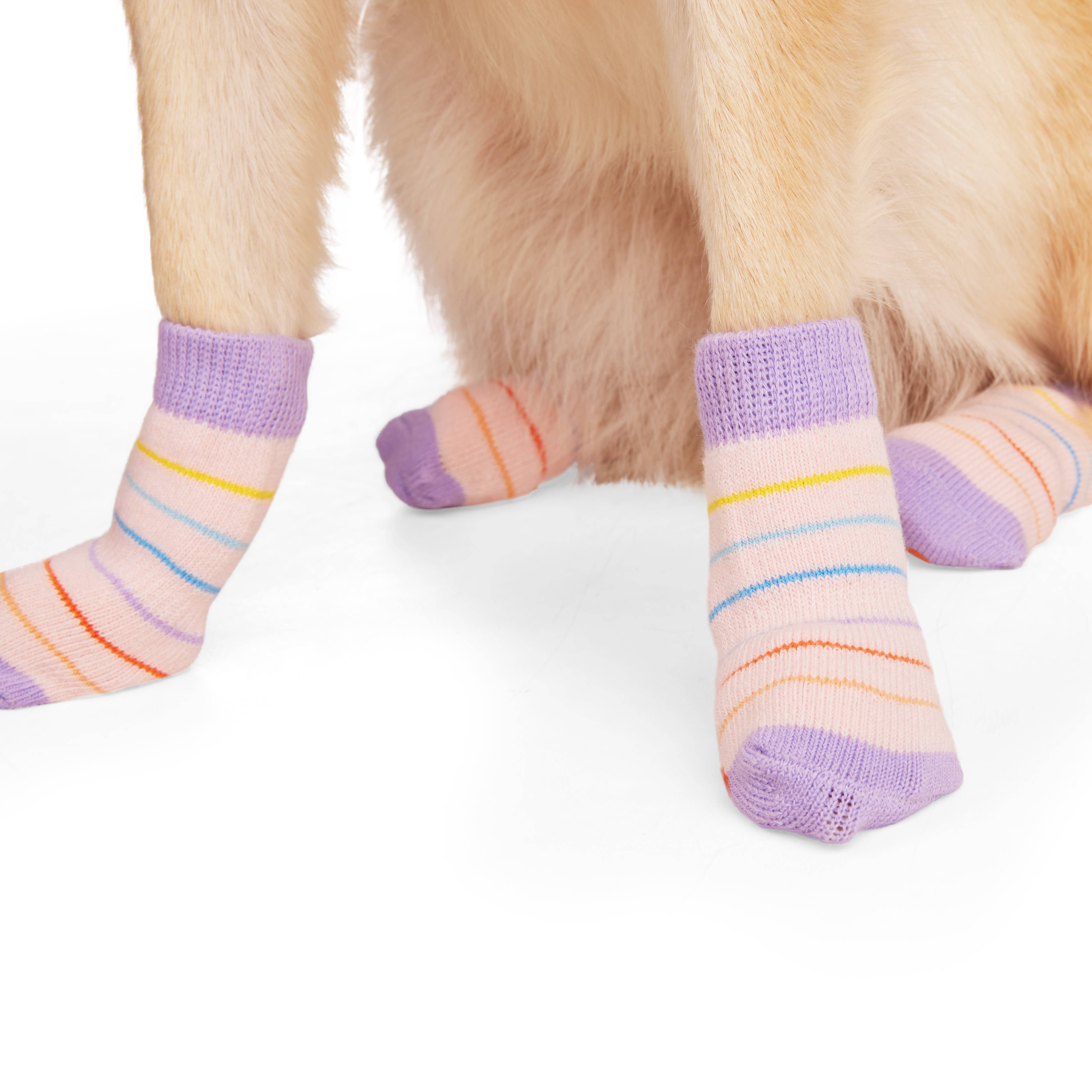 YOULY Butterfly Stripe Dog Sock， Small