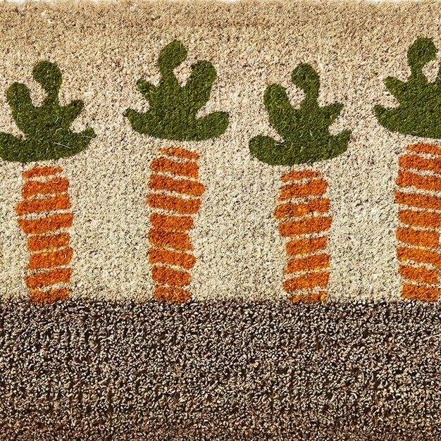 Carrots Boot Scrape Row Of Carrots Rectangle Indoor Outdoor Estate Coir Door Mat Orange On Beige Background