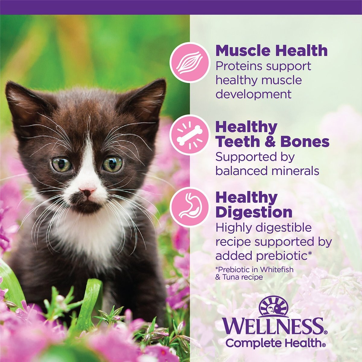 Wellness Complete Health Kitten Whitefish and Tuna Formula Grain-Free Canned Cat Food， case of 24