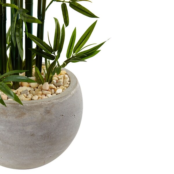 4' Bamboo Tree in Sand Colored Bowl